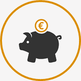Icon Kosten
